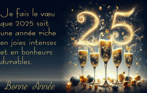 Bonne année