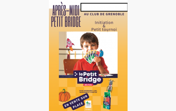 Mini bridge et petit bridge