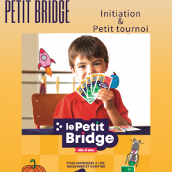Mini bridge et petit bridge